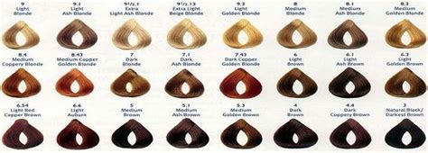 L Oreal Excellence Hair Color Chart