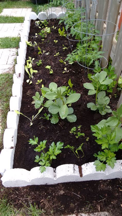 Scalloped brick garden edging | Brick garden edging, Brick garden
