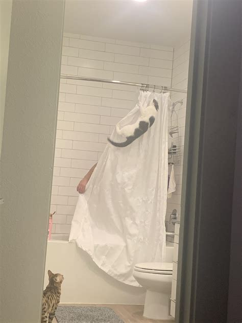 Heard My Husband Screaming While In The Showerwalked In On This