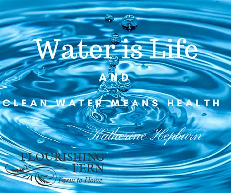 Water Is Life Three Simple Ways To Increase Hydration Without Feeling Water Logged The