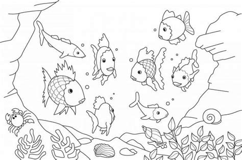 Get creative with our ocean coloring pages. Free Printable Ocean Coloring Pages (Under The Sea)