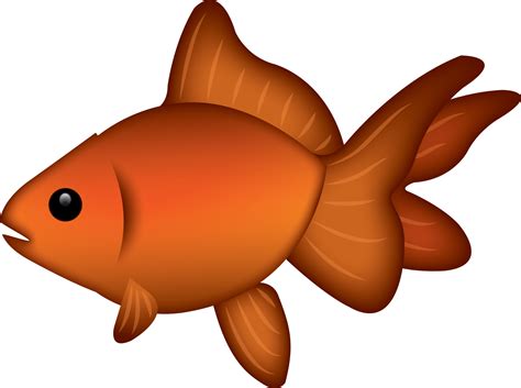 Goldfish Png Transparent Image Download Size 1569x1171px