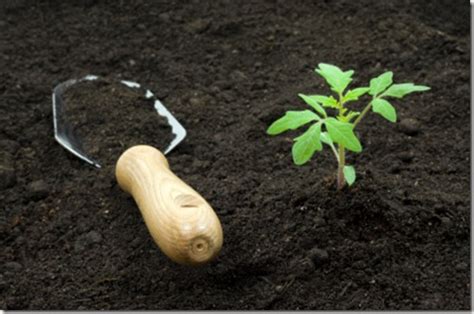 I have clay soil and no amount of massive amending is going to work for me. Gardening Basics: How to Amend Soil ⋆ North Coast Gardening