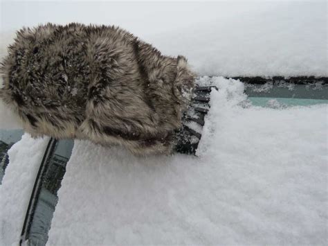 Hopkins Ice Scraper With Faux Rabbit Fur Mitt Hopkins Winter Weather
