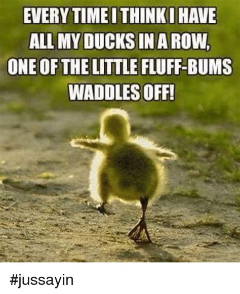 35 Duck Memes That Will Make You Quack All Day Duck Memes Funny