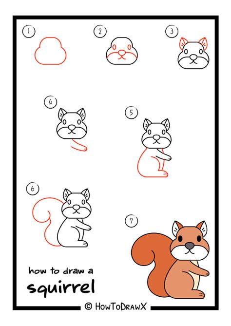 Drawing Lesson 35 How To Draw A Squirrel Step By Step Drawing