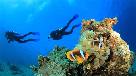 The olympic games might only be a few weeks away but work to create a diving legacy as part of next year's commonwealth games is well underway. Diving in KaşBarefoot Travel - Turkey Tours | Barefoot Travel - Turkey Tours