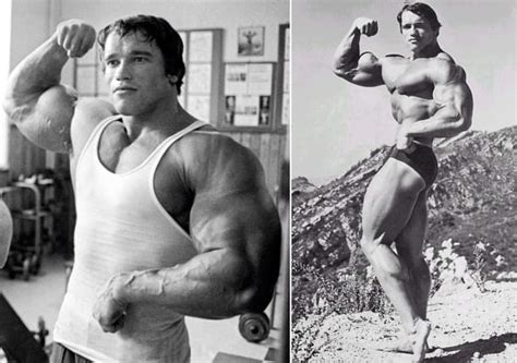 Austrian Alps: Arnold Schwarzenegger’s Biceps Workout ...