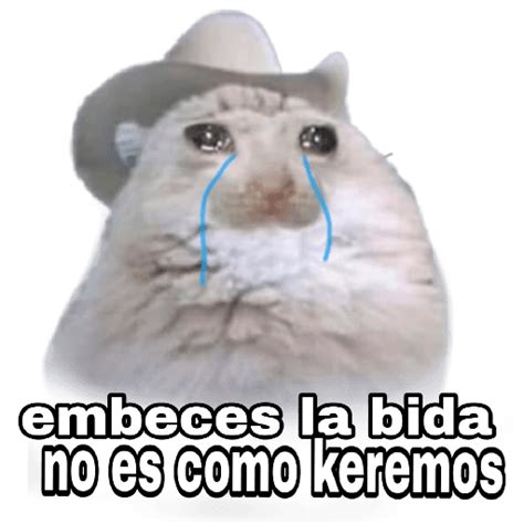 Feche o app de sticker wordart 5. Memes en Español I WhatsApp Stickers - Stickers Cloud