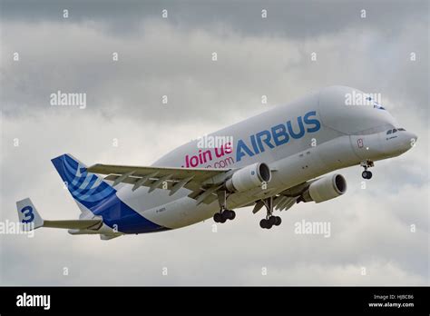 Der Airbus A300 600st Super Transporter Oder Beluga Ist Eine Version
