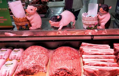 Daging kambing memiliki citarasa dan aroma yang khas. Inflasi Tiongkok Naik karena Harga Daging Babi Melonjak ...