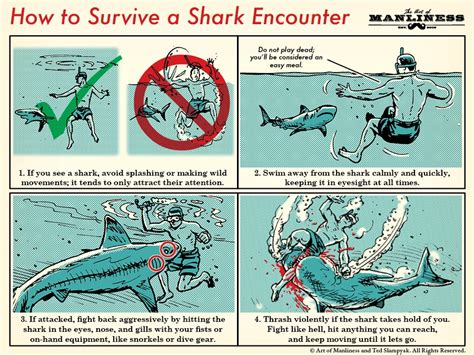 How To Survive A Shark Attack The Art Of Manliness