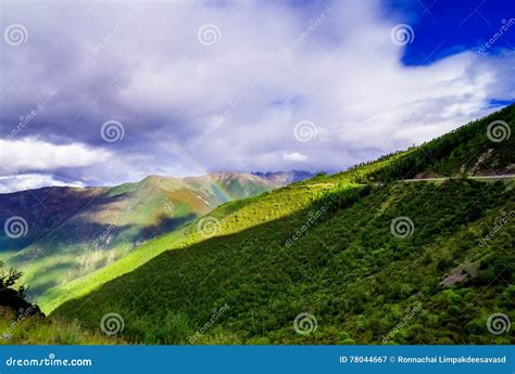 Mountain Landscape Pine Trees Near Valley And Colorful Forest On