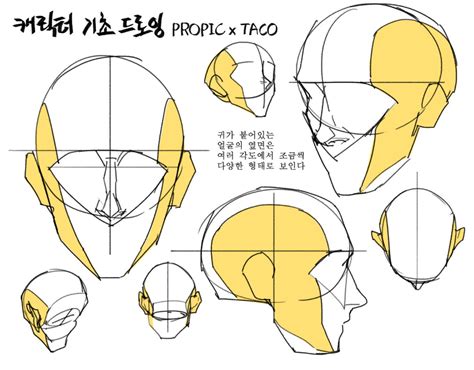 타코작가 on Twitter Anatomy art Art reference poses Art reference photos