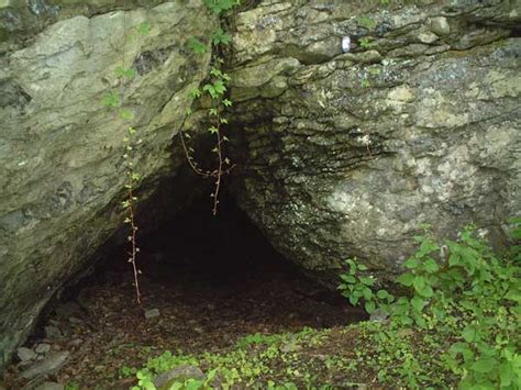 Joralemon Town Park Coeymans Small Cave Nys Dept Of