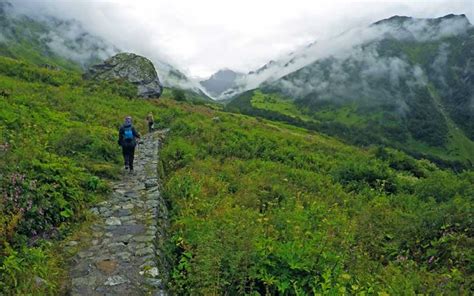 Valley Of Flowers Tour With Hemkund Sahib Trekking Package