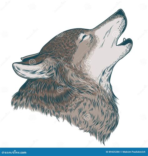 Vector Illustration Of A Howling Wolf Stock Vector Illustration Of