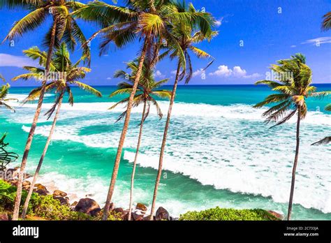 Exotic Tropical Hollidays Tranquil Beautiful Beaches Of Sri Lanka