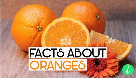 10 Interesting Facts About Oranges Oranges Benefits Fun Facts 10