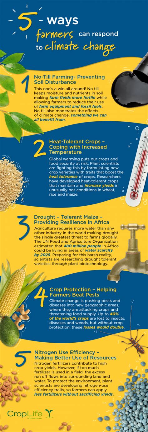 Ways Farmers Can Respond To Climate Change Croplife International