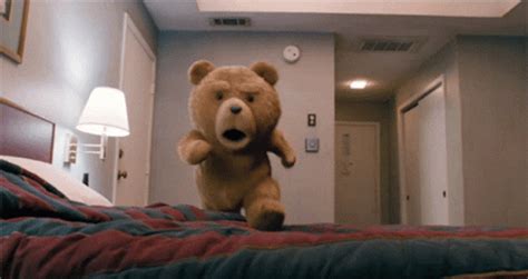 Ted 498 X 289  