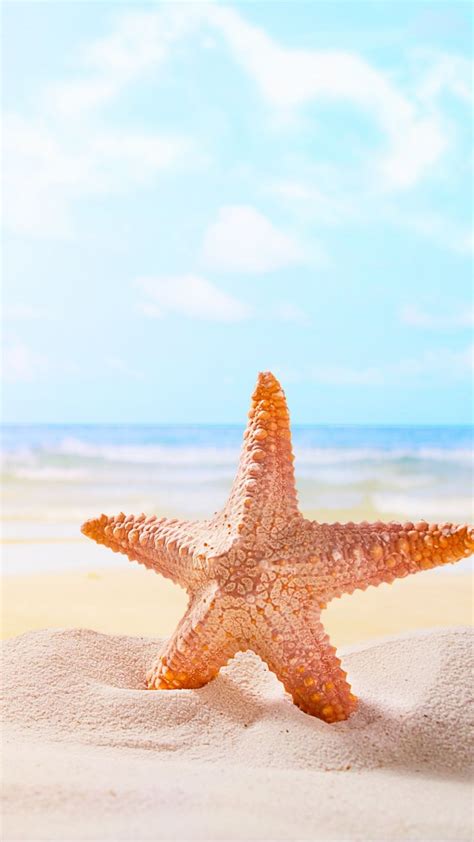 Sand Starfish Beach 720x1280 Wallpaper Beach Wallpaper Summer