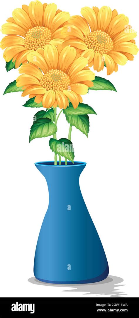 Sunflowers In Blue Vase Stock Vector Image Art Alamy