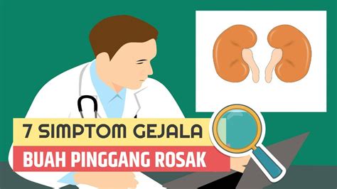 Hormon ini memberi signal supaya tubuh sakit buah pinggang sangat merisaukan. 7 SIMPTOM GEJALA BUAH PINGGANG ROSAK - YouTube