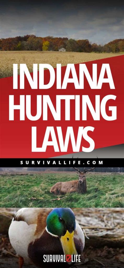Indiana Hunting Laws American Gun Association