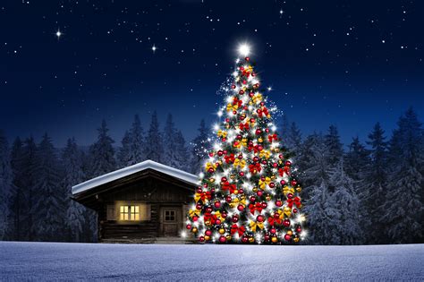 Decorated Large Christmas Tree 4k Ultra Hd Wallpaper