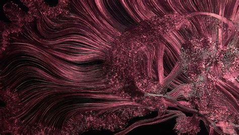 Beautiful Brain Art Uncovers The Complexity Of The Human Mind Vice