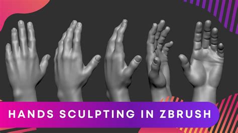 Zbrush Anatomy Series Hands Sculpting Youtube
