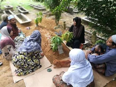 See actions taken by the people who manage and post content. Kelantan Cat Visits Owner's Grave Every Day For 2 Years ...