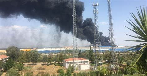 Antalya'da kır düğününde 'ağaç' devrildi: Son dakika: Antalya'da büyük yangın! Göz gözü görmüyor ...
