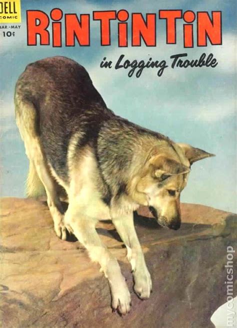 Rin Tin Tin (1953) comic books