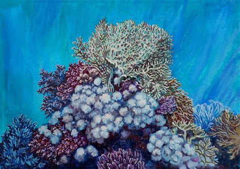 Coral Reef Painting Great Barrier Coral Reef Painting By Cecilia