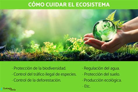 Webquest ClasificaciÒn De Los Ecosistemas Tareas