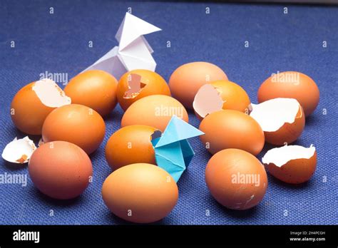 Huevos Rotos Cáscaras De Huevo Y Corbatas De Papel Fotografía De Stock
