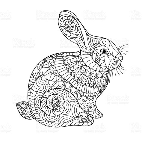 Pin auf hase