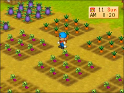 Cheat harvest moon back to nature android lengkap. Download Rom Harvest Moon Back To Nature For Android ...