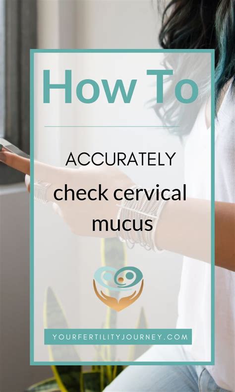 How To Accurately Check Cervical Mucus Your Fertility Journey
