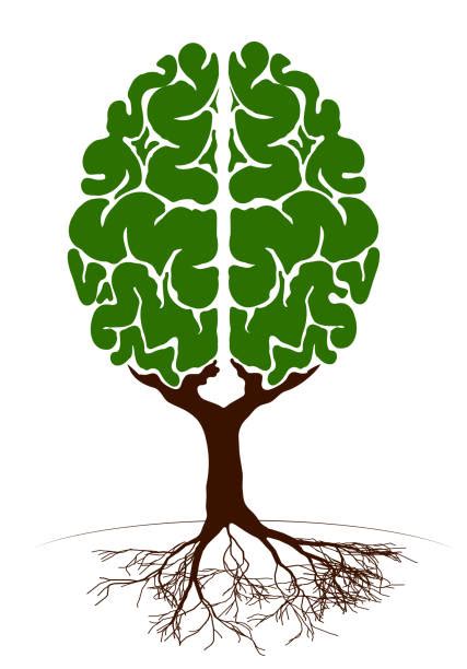 Best Tree Brain Illustrations Royalty Free Vector Graphics And Clip Art