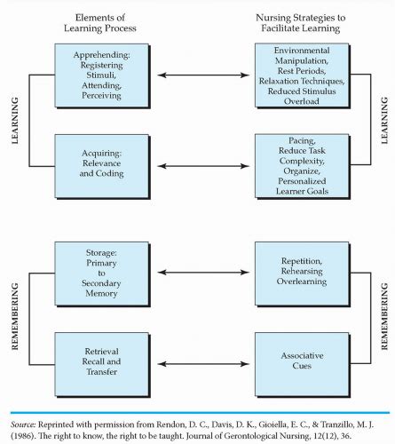 Developmental Stages Of The Learner Nurse Key