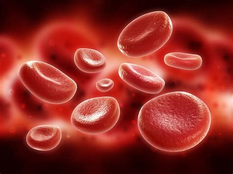 7 Señales Que Indican Una Mala Circulación Sanguínea Y Cómo Revertirla