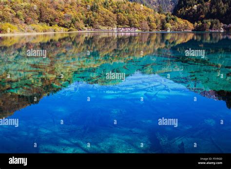 Jiuzhaigou National Park Five Flower Lake Is Lake In Sichuan China