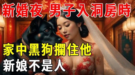 新婚夜 男子入洞房時，家中黑狗攔住他，新娘不是人【蝴蝶飛飛】 Youtube