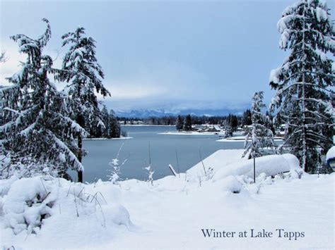 Winter At Lake Tapps Lake Tapps