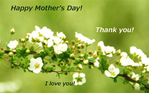 Words will fall short and heaps of emotions will fail to express the. Mother's day wishes