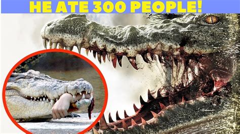 Top Most Dangerous And Deadliest Animals In The World Youtube