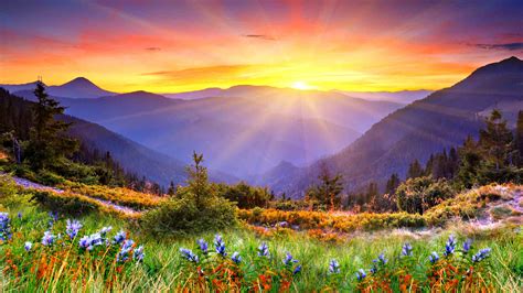Awesome Sunset Sun Rays Forested Mountains Beautiful